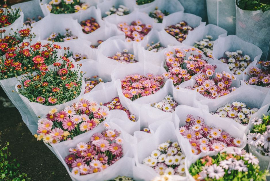 A collection of fresh daisies in shades of pink, white, and yellow arranged in individual white paper wraps, ready for flower delivery or gifting. The daisies display vibrant petals with delicate text